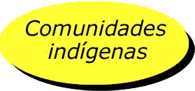 Indígenas